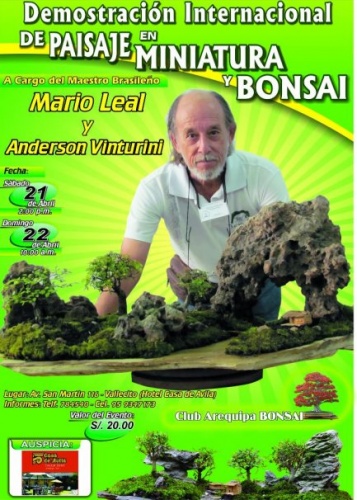 Cartel Demostración Internacional de Paisaje en Miniatura y Bonsai