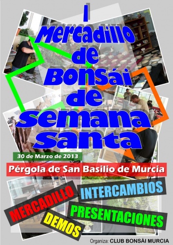 Bonsai I Mercadillo de Bonsai de Semana Santa - Club bonsai Murcia - eventos