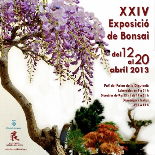 Bonsai XXIV Exposició de Bonsai a Tarragona - eventos
