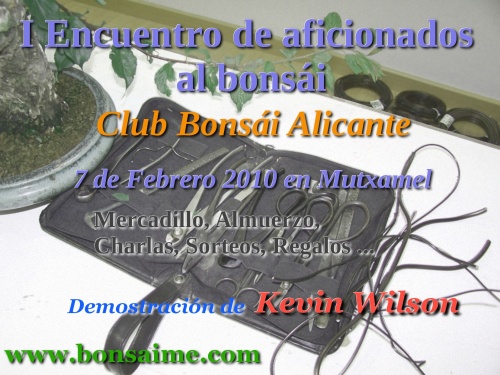 Bonsai Cartel del Primer encuentro de aficionados al Bonsai Alicante - bonsaime
