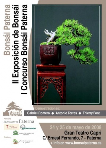 Cartel II Exposicion Paterna y I Concurso de Bonsai