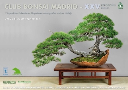 Cartel XXV Club Bonsai Madrid