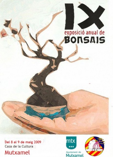 Bonsai IX Exposicion Anual de Bonsais - Club Bonsai Alicante - eventos