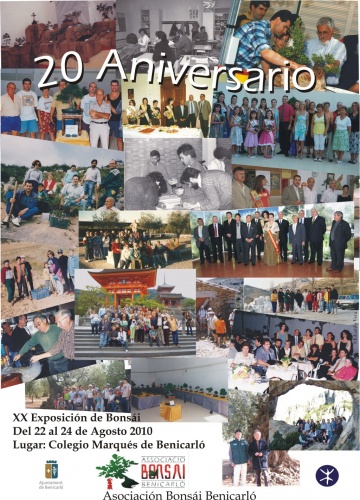 Cartel XX Aniversario Asociacion Bonsai Benicarlo