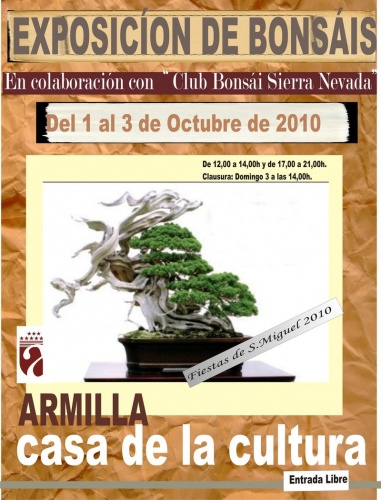 Cartel Exposición Bonsái Ciudad de Armilla