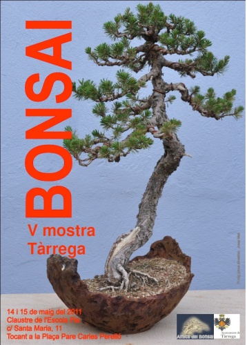 Bonsai V Mostra Bonsais - Tarrega - eventos